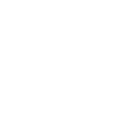 SECURITY SYSTEM